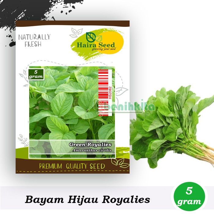 Benih-Bibit Bayam Hijau Green Royalies (Haira Seed)