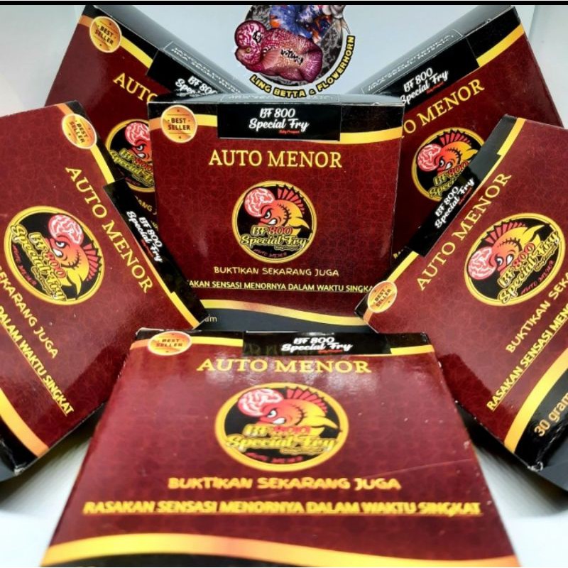 Pelet BF800 Ikan Louhan