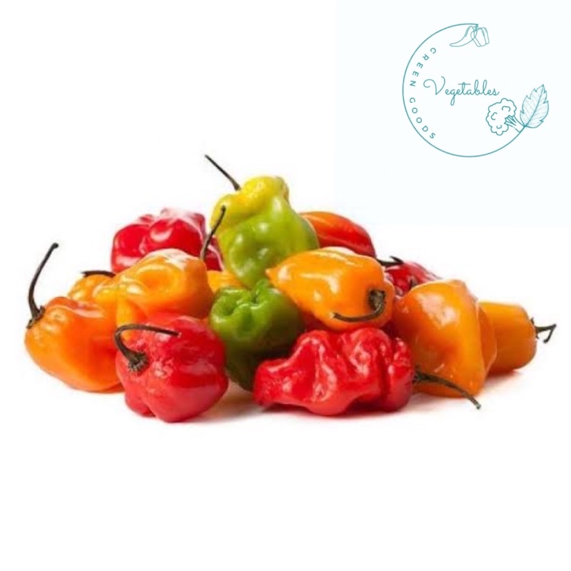 

CABE GENDOT HOT JELETOT