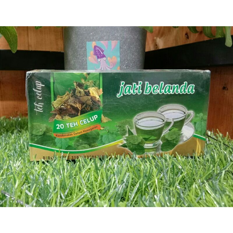 

TEH HERBAL TEH JATI BELANDA TEH DIET