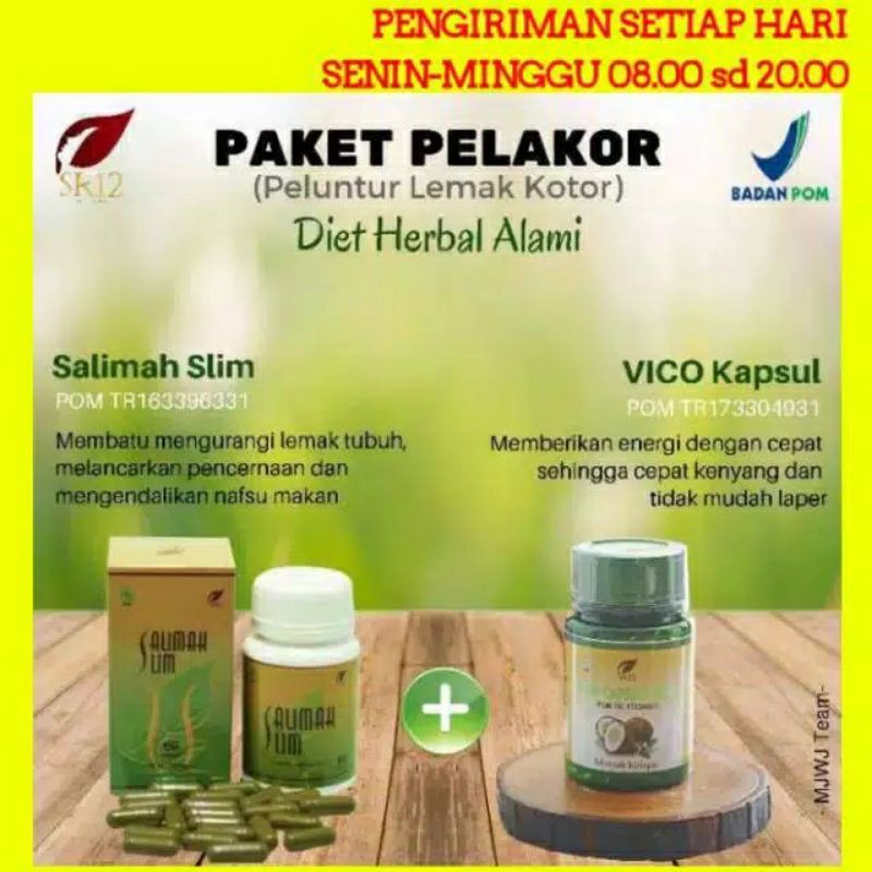 PAKET PELAKOR SR12
