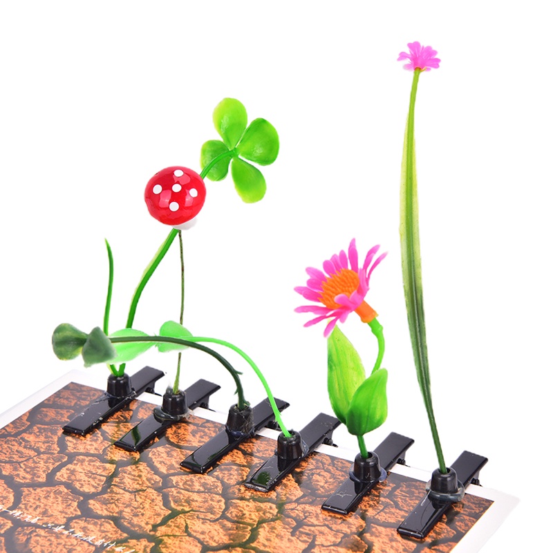 Tanaman Bunga Rumput Jamur