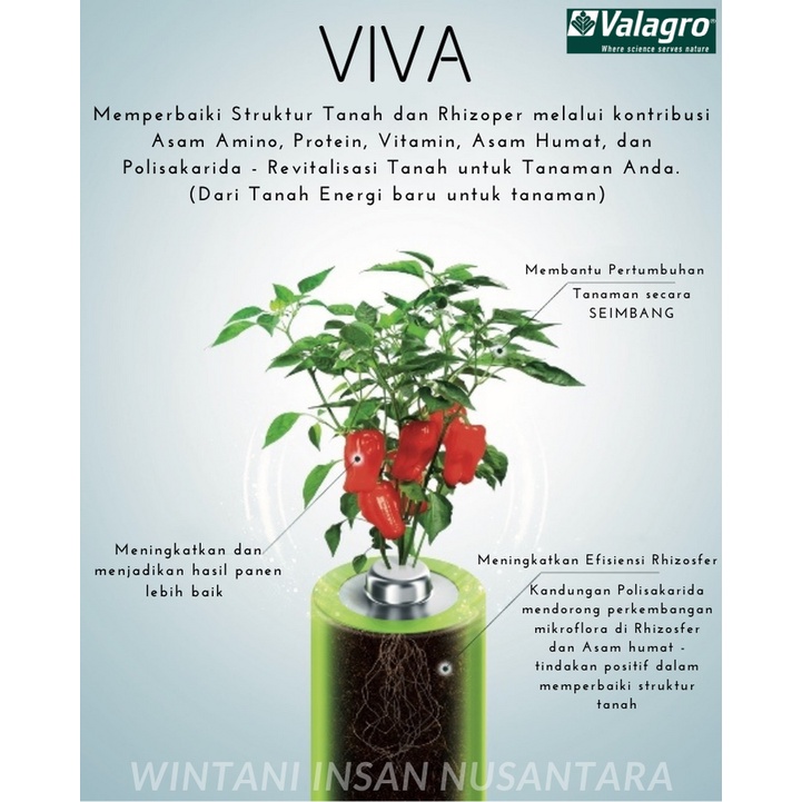 NEW PUPUK ORGANIK CAIR VALAGRO VIVA BIOSTIMULANT ISI 250 ML MENINGKATKAN AKTIFITAS BIOLOGIS TANAMAN