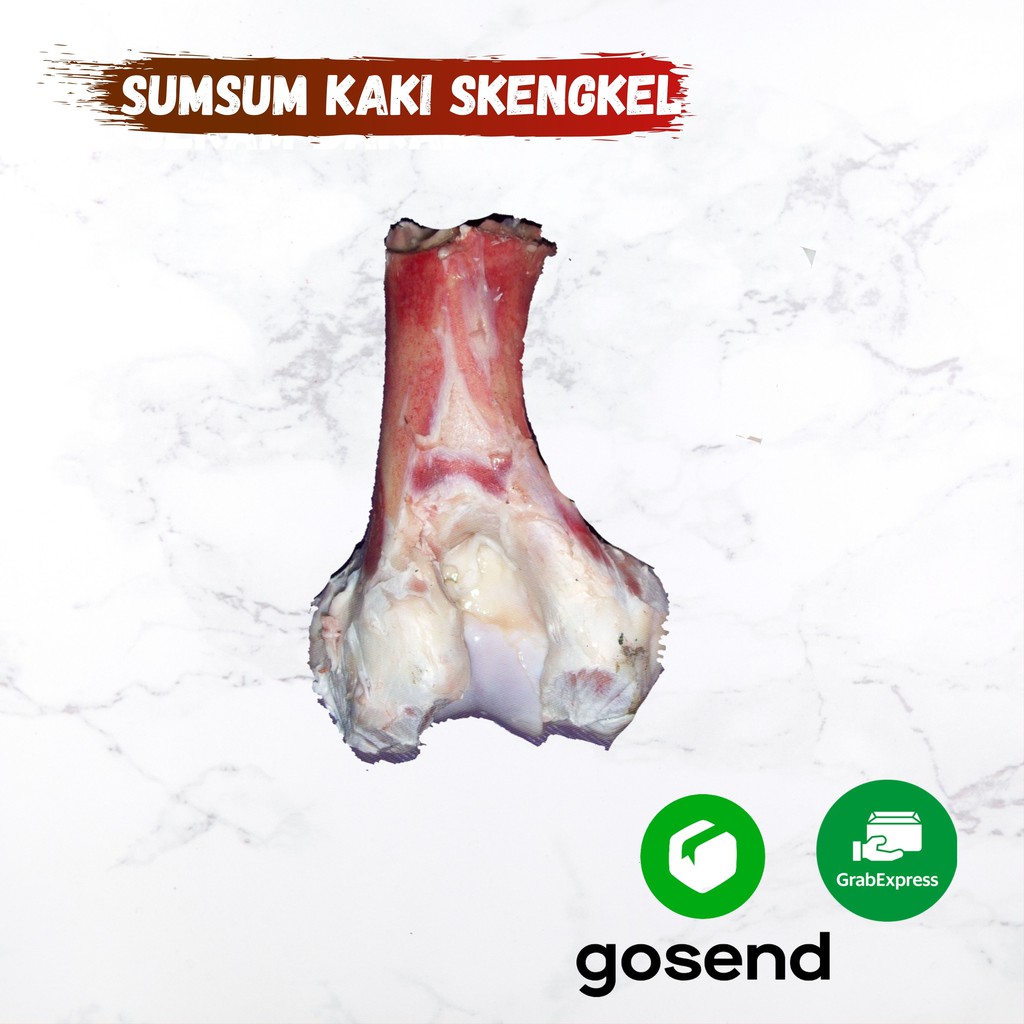 

Tulang Sumsum Sapi / Skengkel Untuk Kaldu Gurih