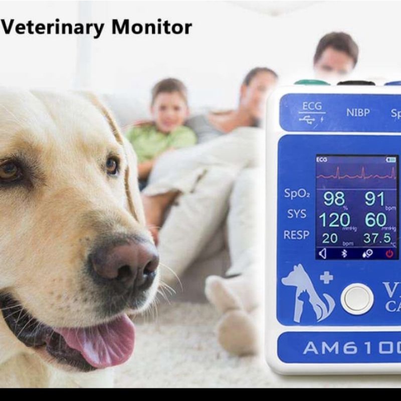 Berry bery am6100 bluetooth animal hewan spo2 sp02 nibp