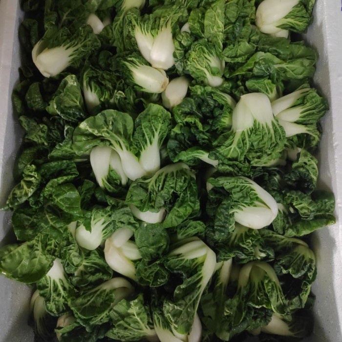 

DOUPAK / TOPAY / BABY BOKCHOY (pack 250g)