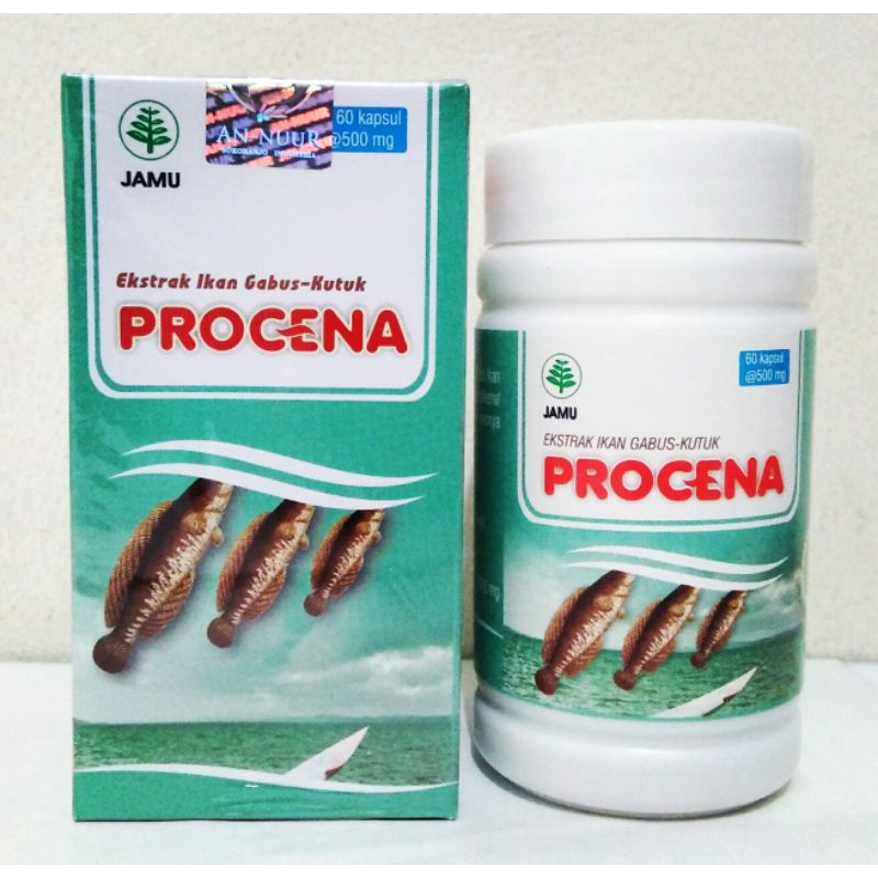 PROCENA Ekstrak Ikan Gabus / Kutuk 60 Kapsul