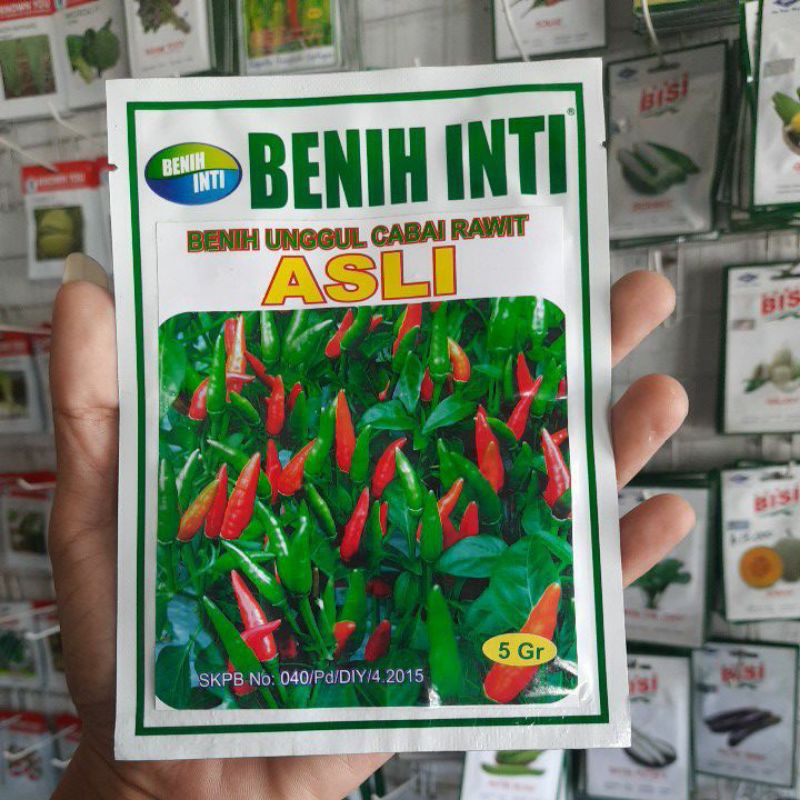 Jual Cabe Cengek Benih Biji Sayur Cabe Rawit Hijau Unggul Asli Isi 5