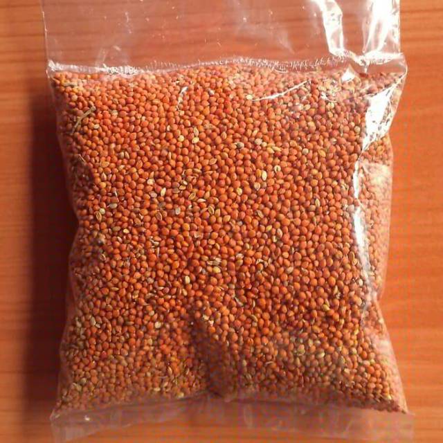 MINIPETS 1KG MILET MERAH MURAH 1KG | MILET 1KG MILET MERAH BIJI MILET MAKANAN BURUNG