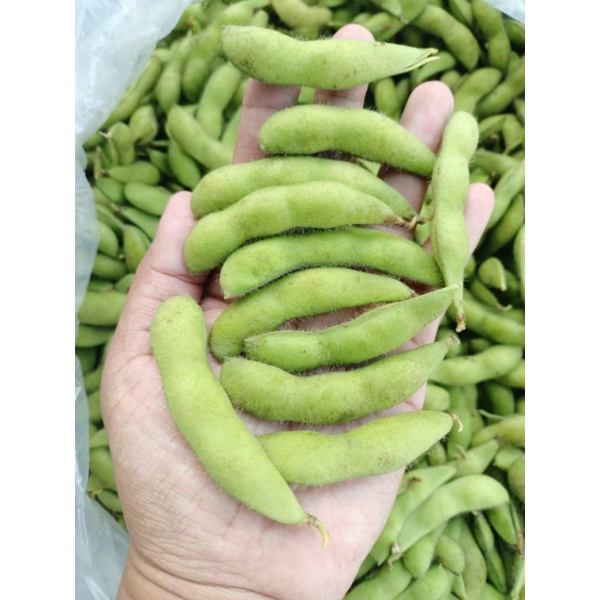 

Edamame premium