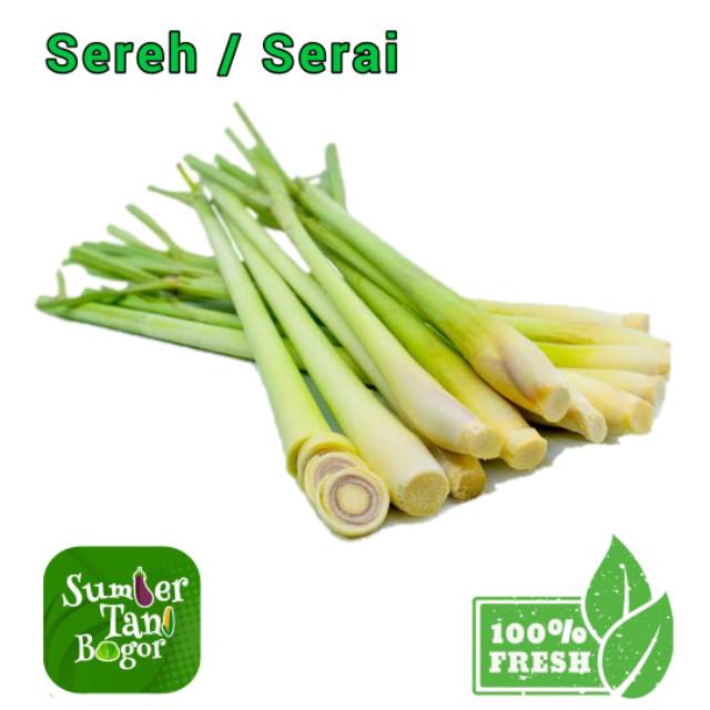 

SEREH / SERAI PER 500 GRAM