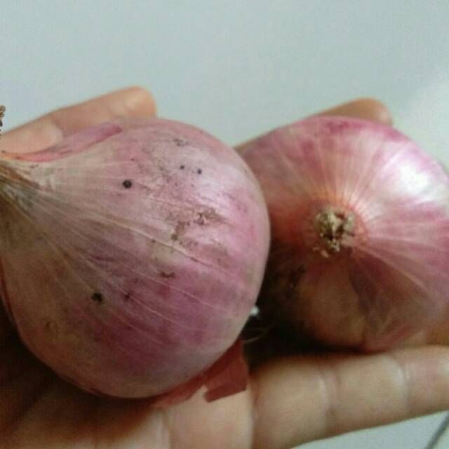 

Bawang merah import MURAH 1 kg