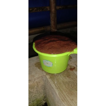 Cacing Sutra hidup gayung kecil 600ml bersih termurah