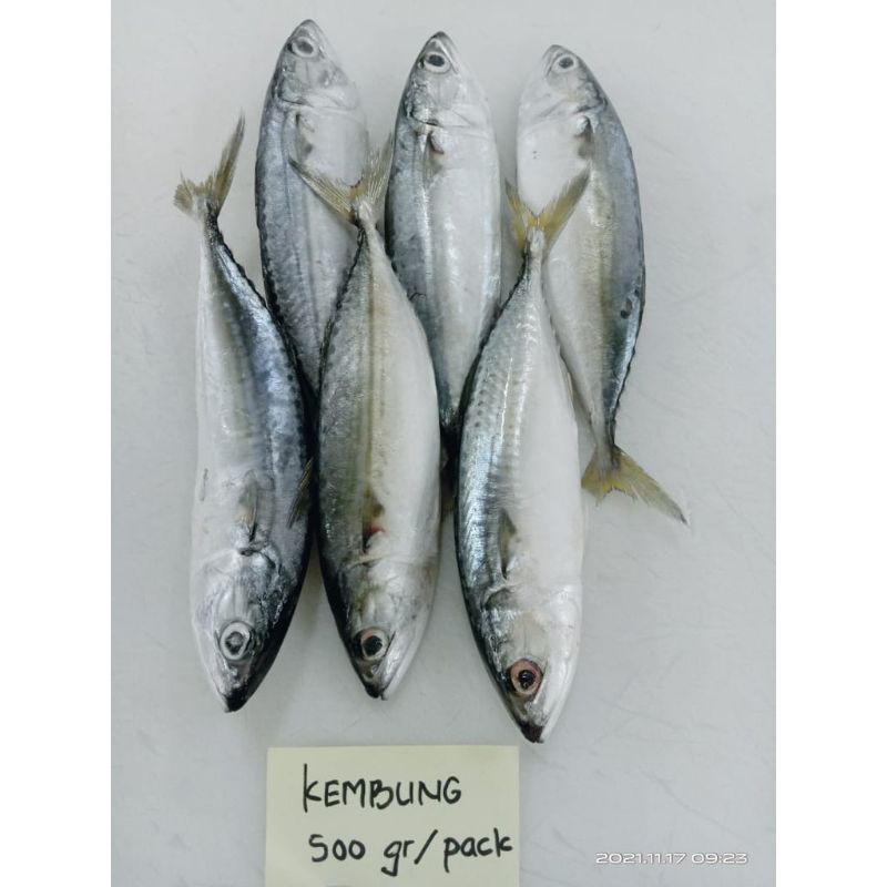 

22 Seafood - Kembung Banjar 500 Gram isi 5-6 ekor