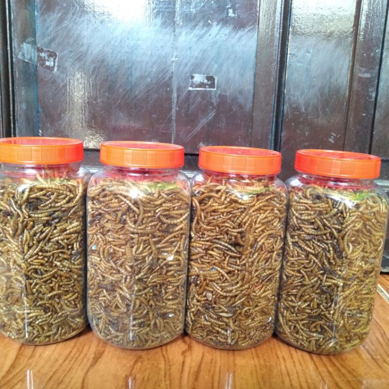 Ulat / ulet Hongkong ulhong kering pakan ikan hias burung hamster marmut chana louhan