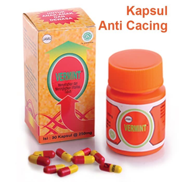 VERMINT Original Kapsul Ekstrak Obat Cacing Tanah Demam Tipes Typus Tipus