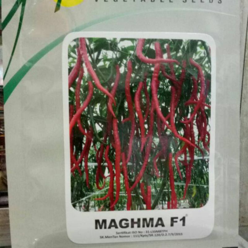 Benih bibit cabe keriting Maghma F1 10gram
