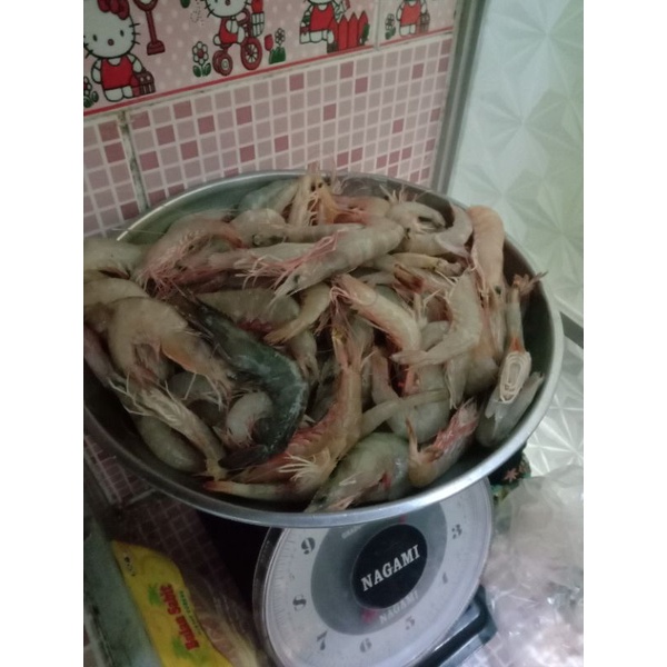 

udang peci segar ukuran kecil