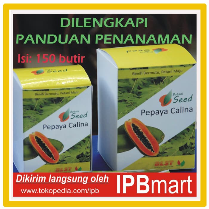 

Termurah Isi 150 biji -- Inovasi IPB: Benih Pepaya Calina (California) Terlaris