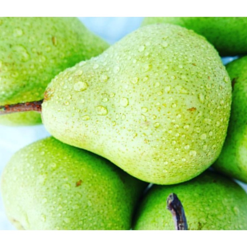 Buah Pear Packham Import USA | Pir Pakam Hijau / Pir Jambu Manis