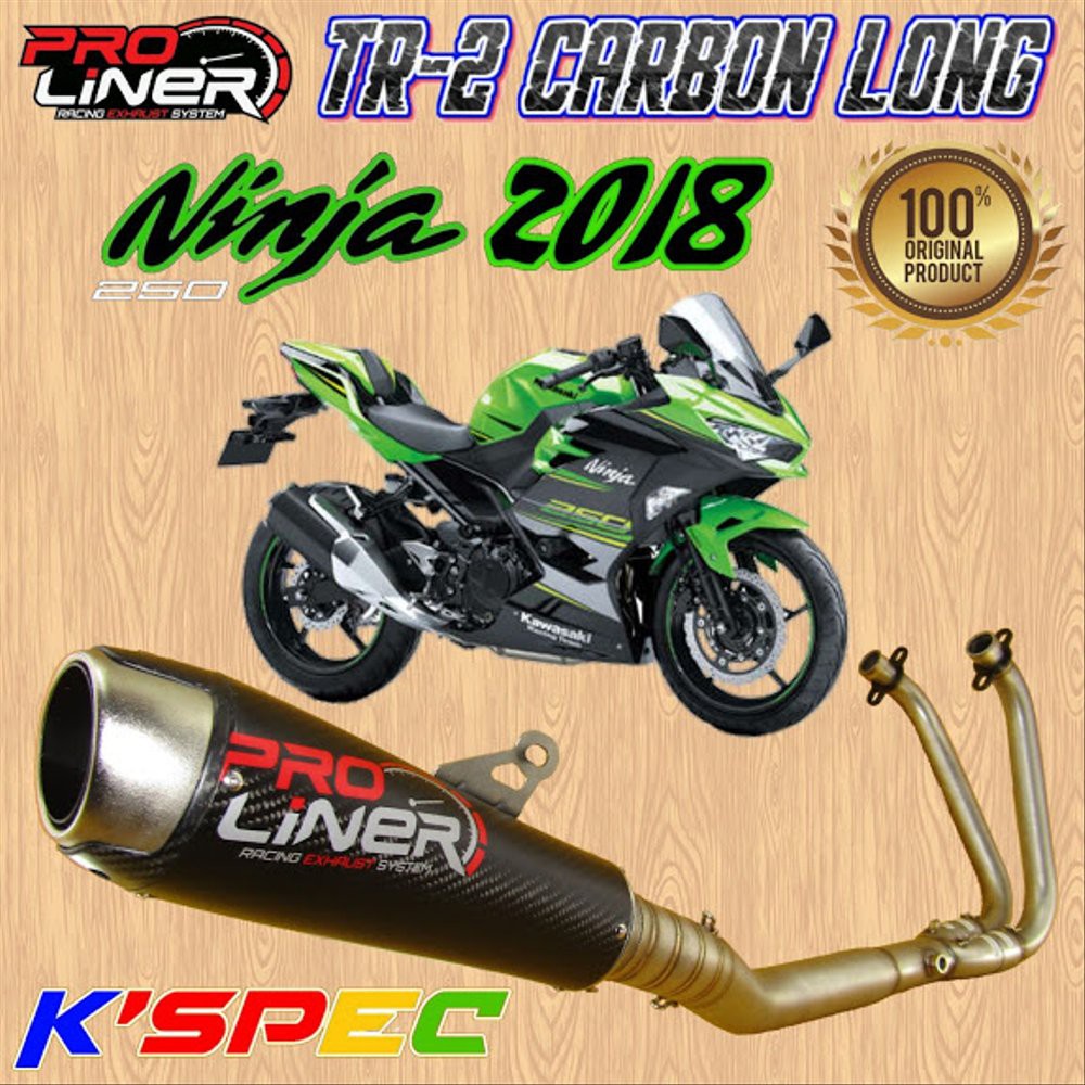 Knalpot ProLiner TR-2 Carbon Long NINJA 250 Fi 2018 Origi bac 97