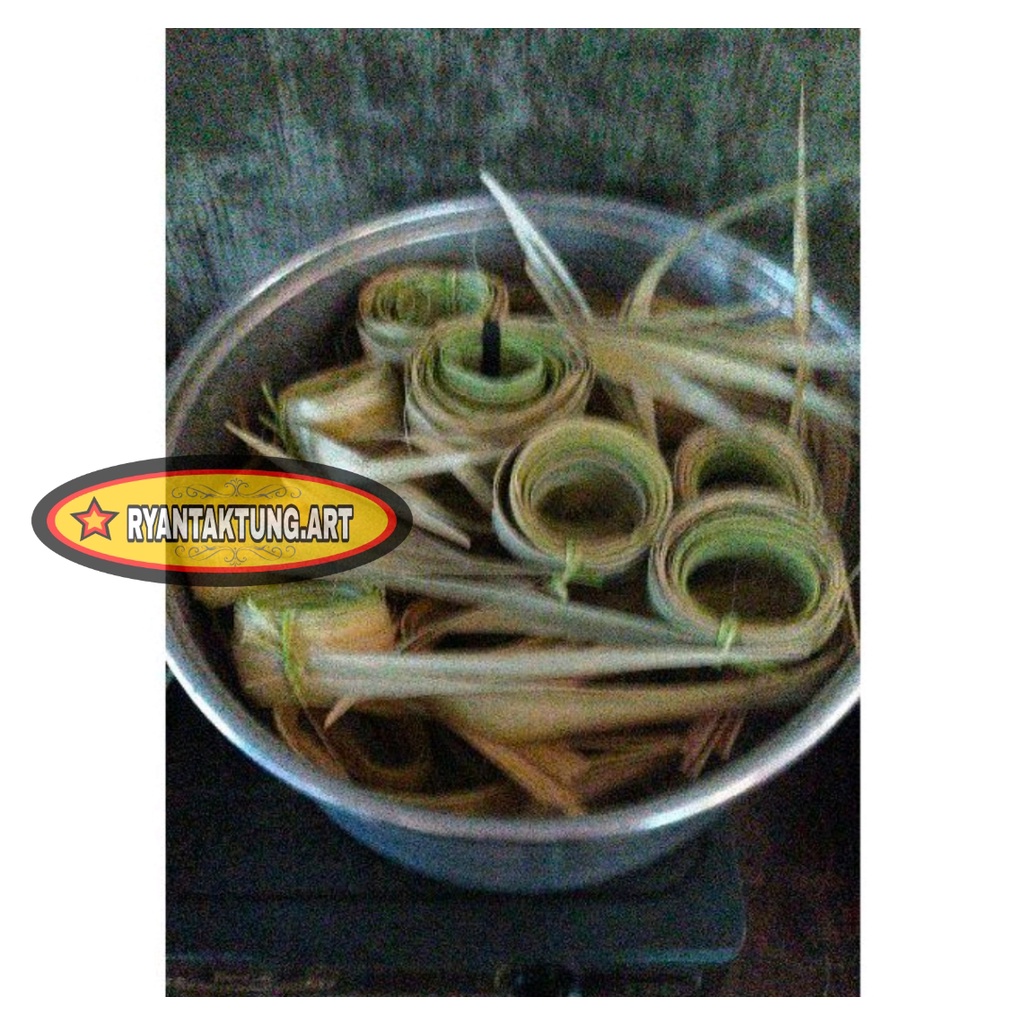 Daun lontar masakan/bahan kepikan slompret reyog