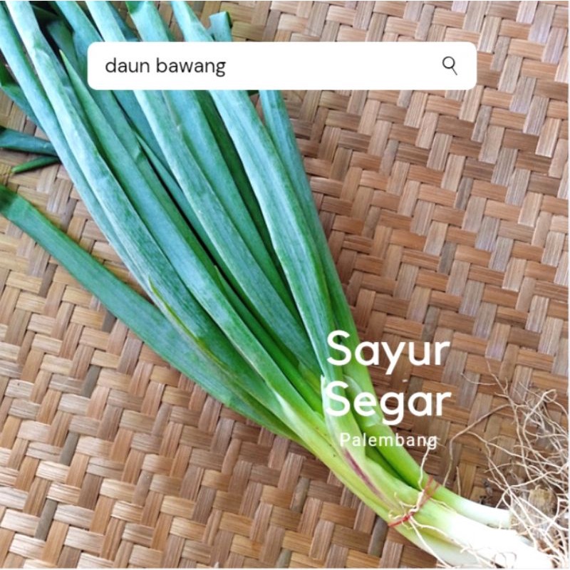 

Daun Bawang Per 250 Gr Sayur Segar Palembang