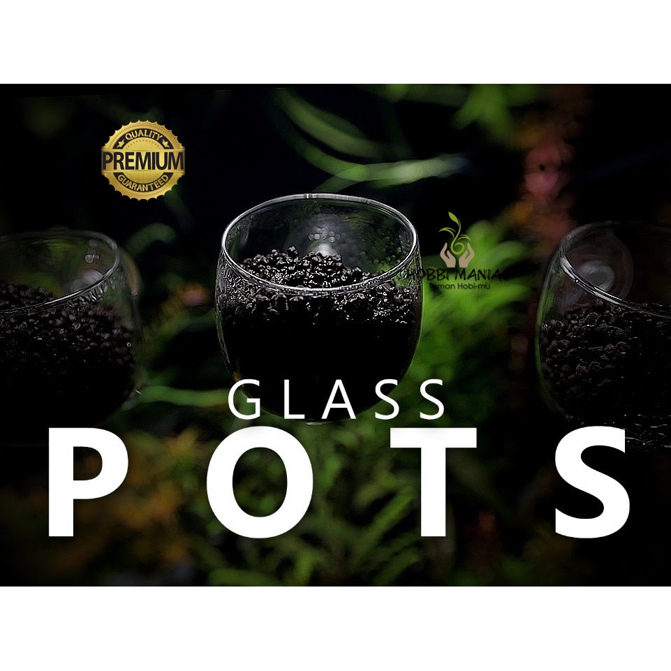 Glass Pot Serbaguna Tanaman Air Aquascape High Quality
