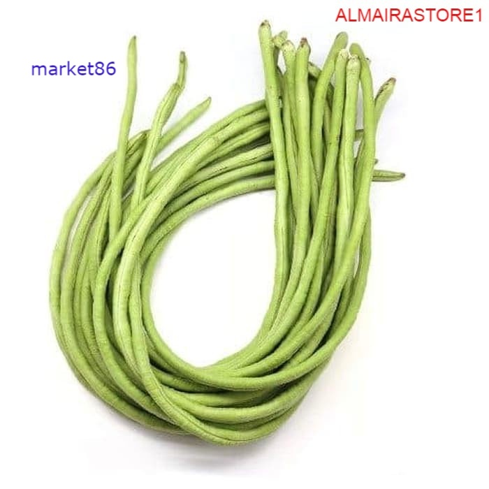 

Grosir Sayur Sayuran Segar FRESH Kacang Panjang 100 Gram murah - Market86