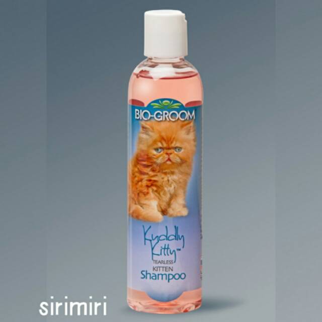 Blitar Perlengkapan Toko Kucing