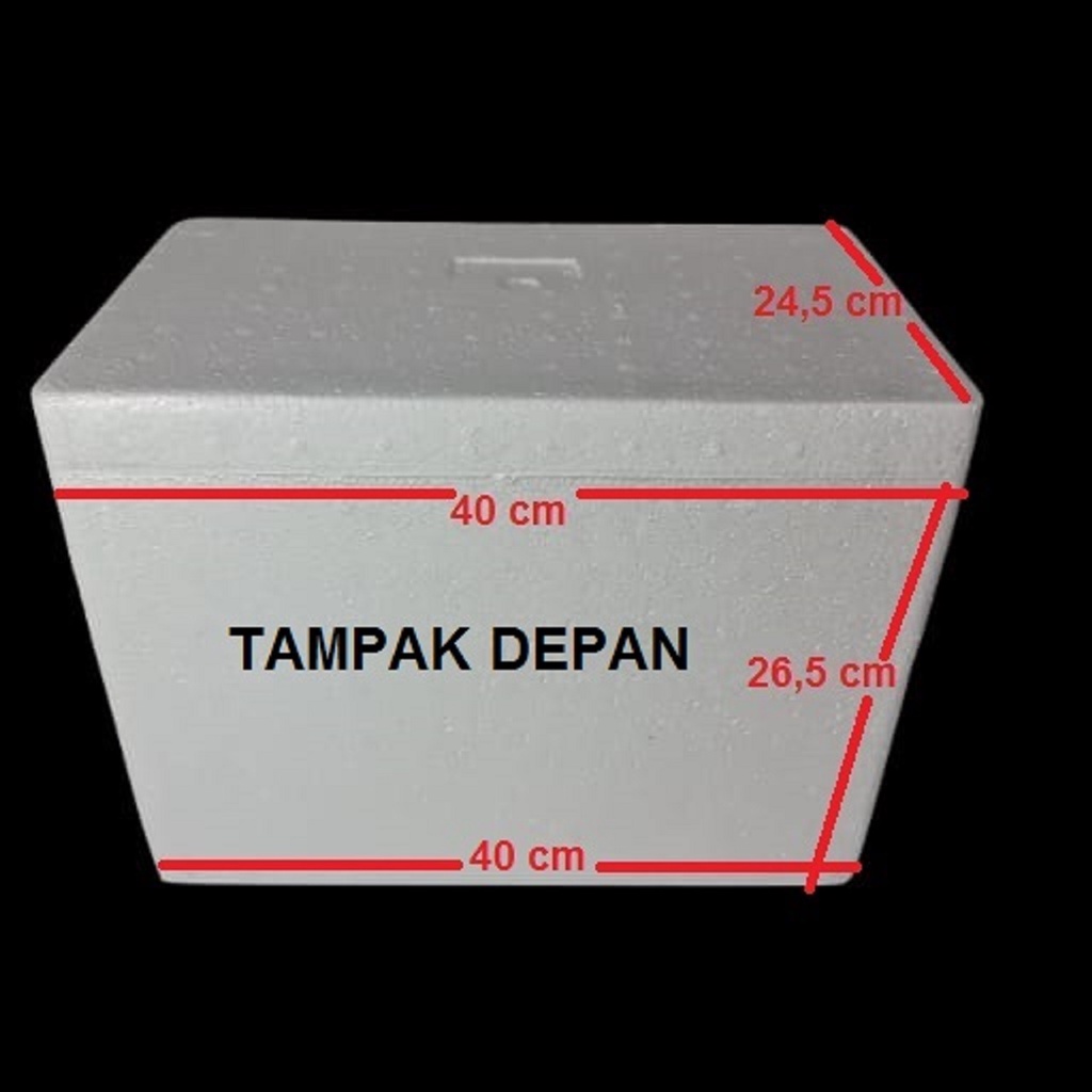 

CA-JO Sterofoam / Sterofoam Box Sedang 40x26x24 cm termurah Surabaya