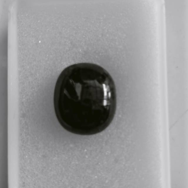 

BRB050 Brown Borneo Kalimantan