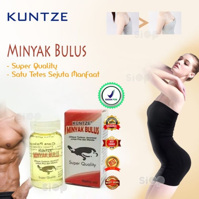 KUNTZE MINYAK BULUS - PEMBESAR PAYUDARA - KUNTZE MINYAK BULUS ORIGINAL ORIGINAL