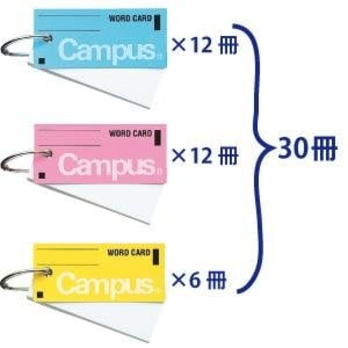 

Kokuyo Word card in assorted blue, pink and yellow 6 (TN-100) 85sheets