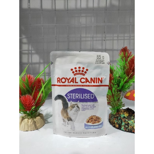 Royal Canin pouch Sterilised in Jelly 85gram