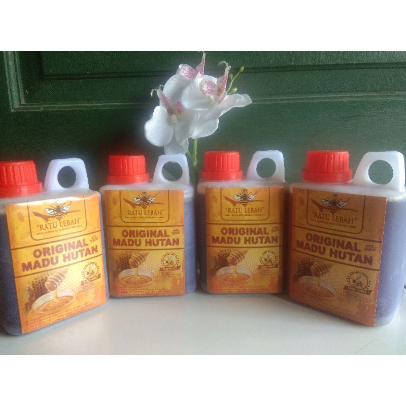 

Madu Hutan Asli 500ml Raw Honey Apis Dorsota