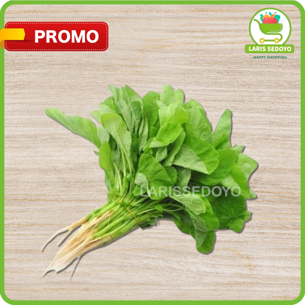 

Bayam Segar 1 Ikat Sayur Sayuran Jakarta