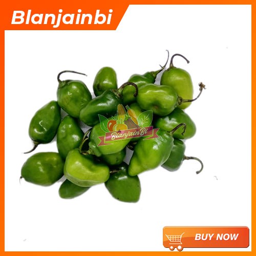

Cabe Gendot Hijau Bandung Area