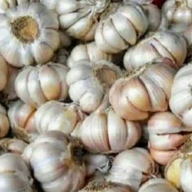 

BAWANG PUTIH 250 GRAMS