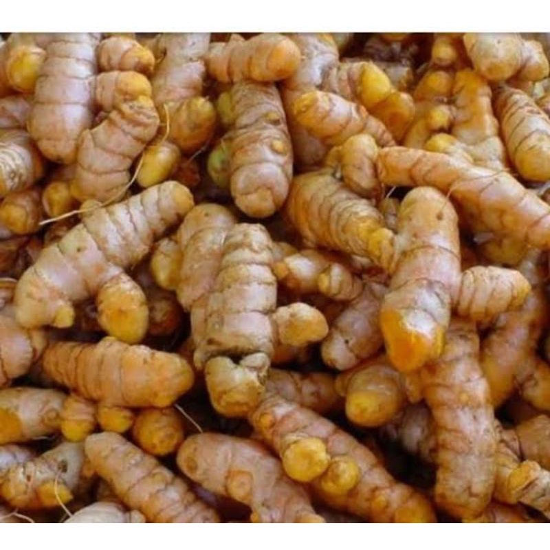 

KUNYIT SOLOR SEGAR 1 KG