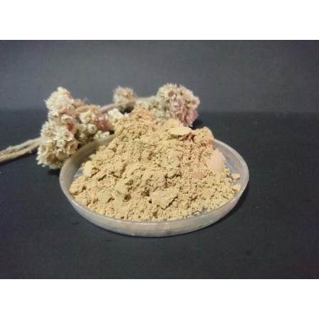 

ORIGINAL TANIN MANJAKANI / OAKGALL /GALLNUT ASLI