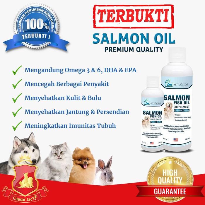 Manfaat Minyak Ikan Untuk Kucing Sakit MINYAKOL