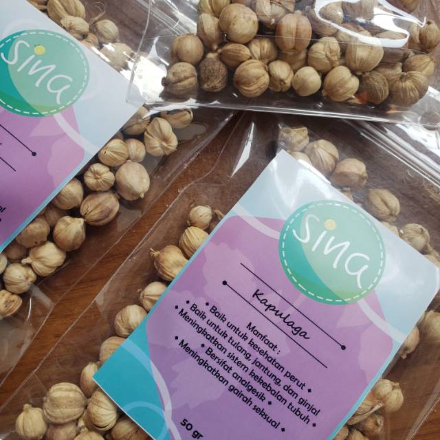 

Kapulaga 50 gr