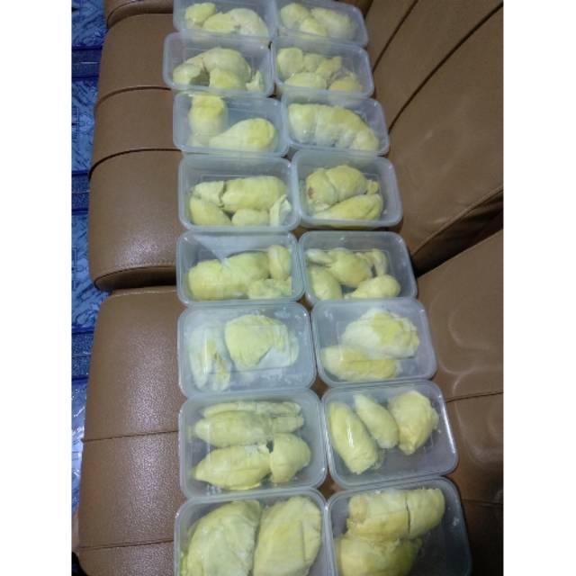 

Durian Montong palu