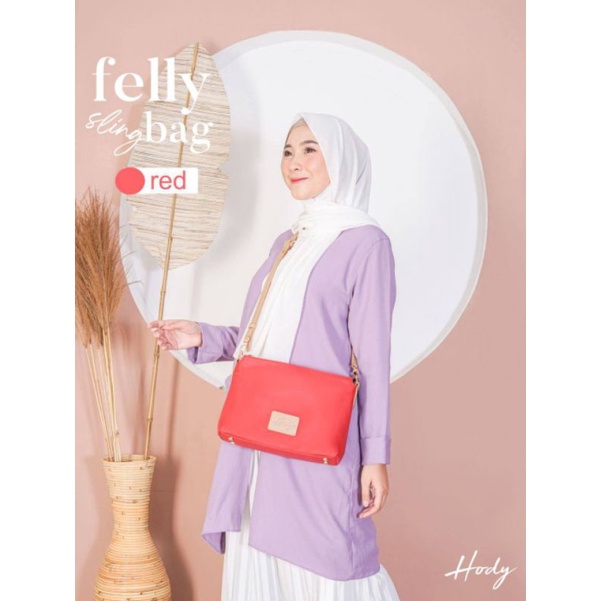Felly bag hody