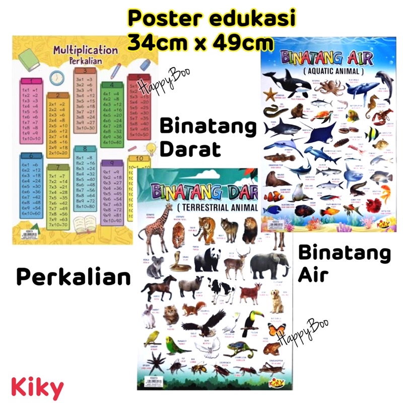 poster edukasi kiky poster perkalian binatang bahasa inggris poster kiky belajar sd paud tk anak