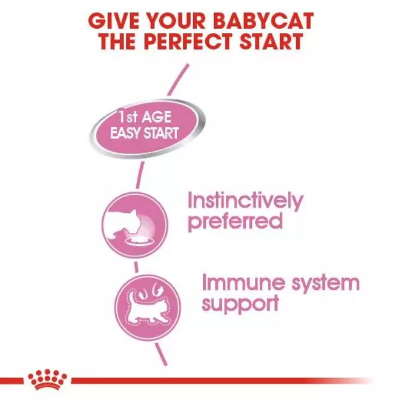 Royal Canin Mother and baby Cat Kaleng 195Gr &amp; 100Gr Royal Canin Mother and Baby Tray