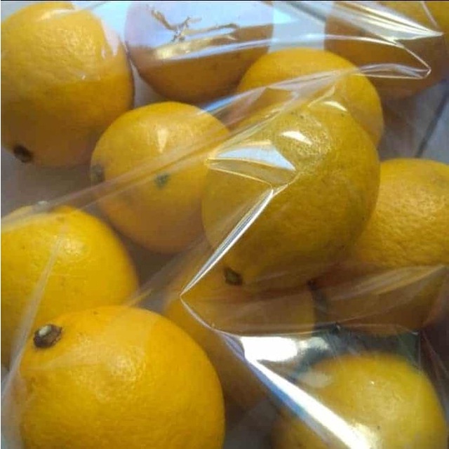 

Lemon California Segar 1kg
