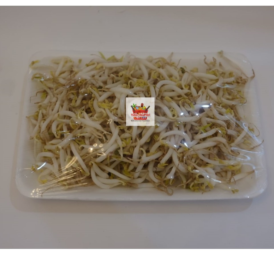 Jual Toge / tauge 250 gram | Shopee Indonesia
