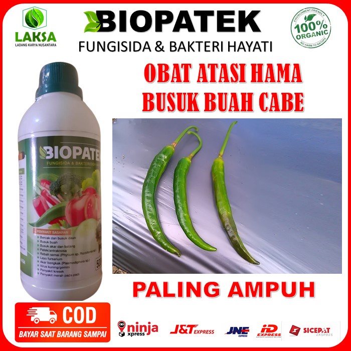 BIOPATEK 500 ML Obat Busuk Buah Cabe Paling Ampuh - Biopatek Obat Semprot Fungisida Atasi Penyakit B